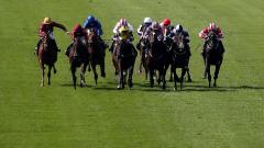 Newmarket 