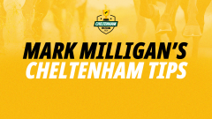 Cheltenham Festival  