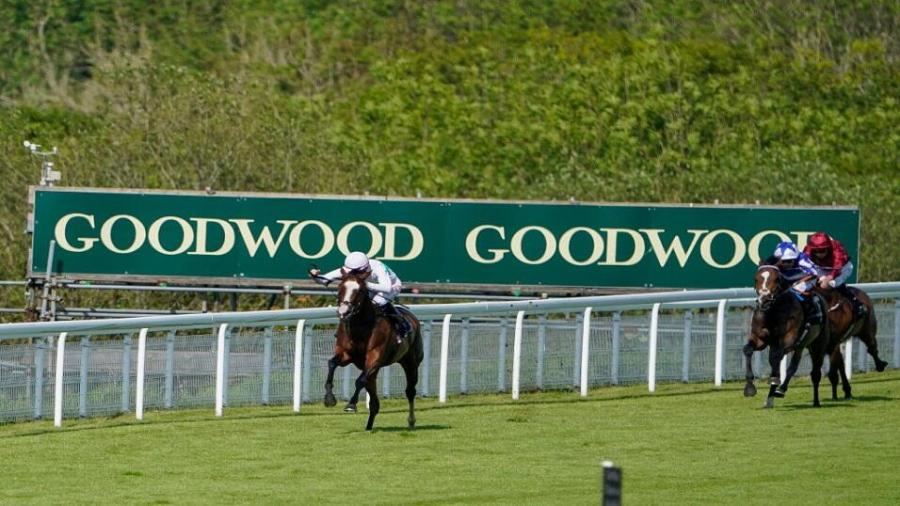 Goodwood field with sign.jpg