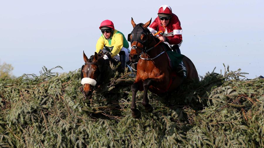 Tiger Roll at National finish 2019 1280.jpg