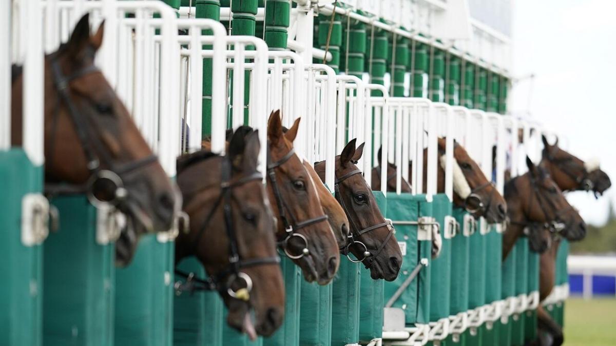 Curragh