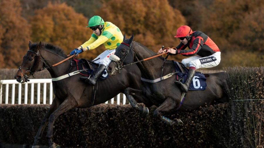 Lingfield fences 1280 .jpg