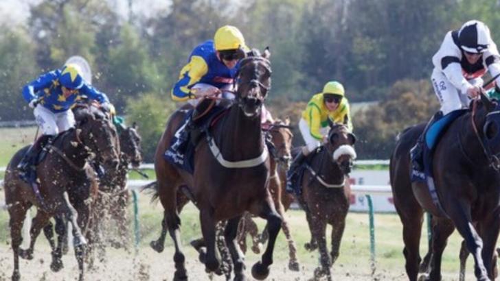 Lingfield