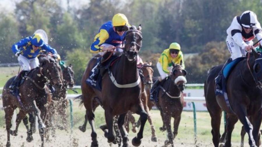 Lingfield 1280.jpg