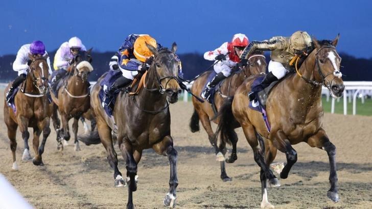 Horse racing at Newcastle