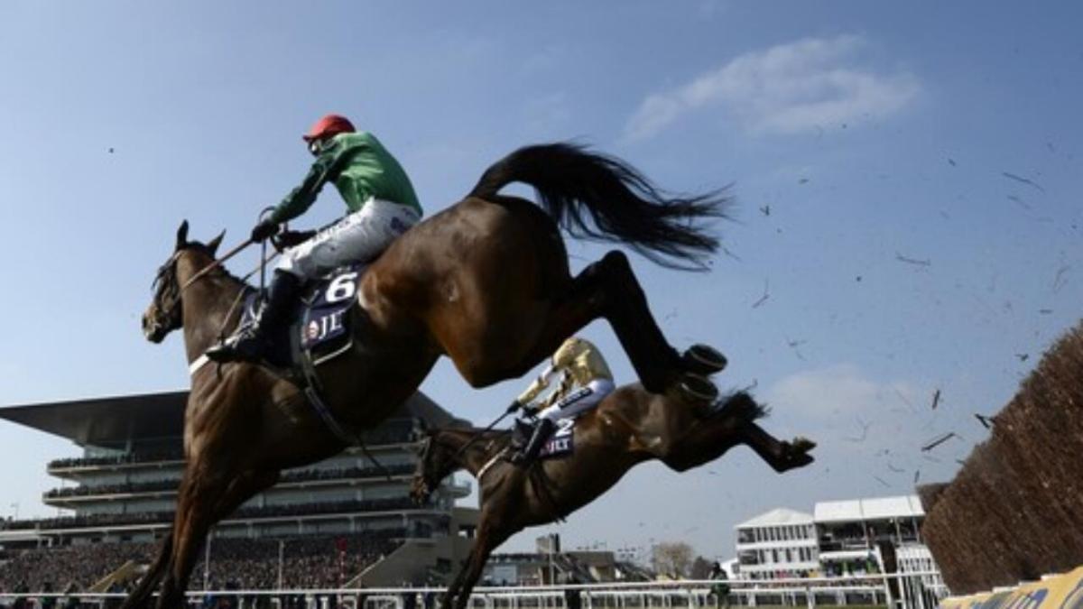 Cheltenham Jumps
