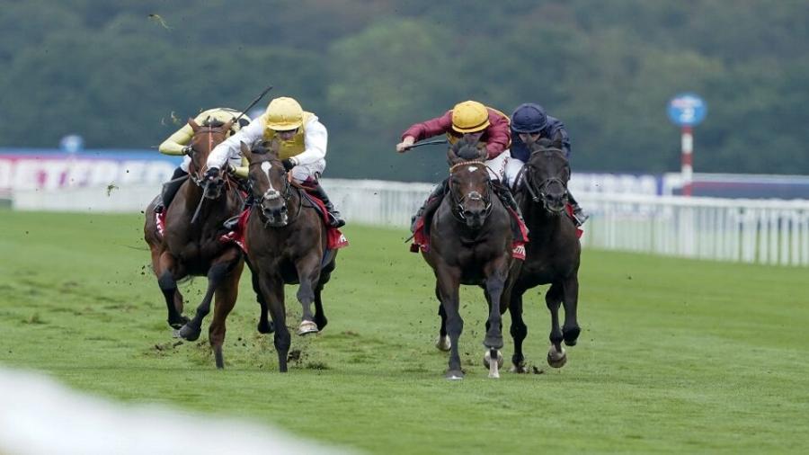Doncaster Flat field head on.jpg