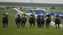 Horses head on running down the Newmarket straight.