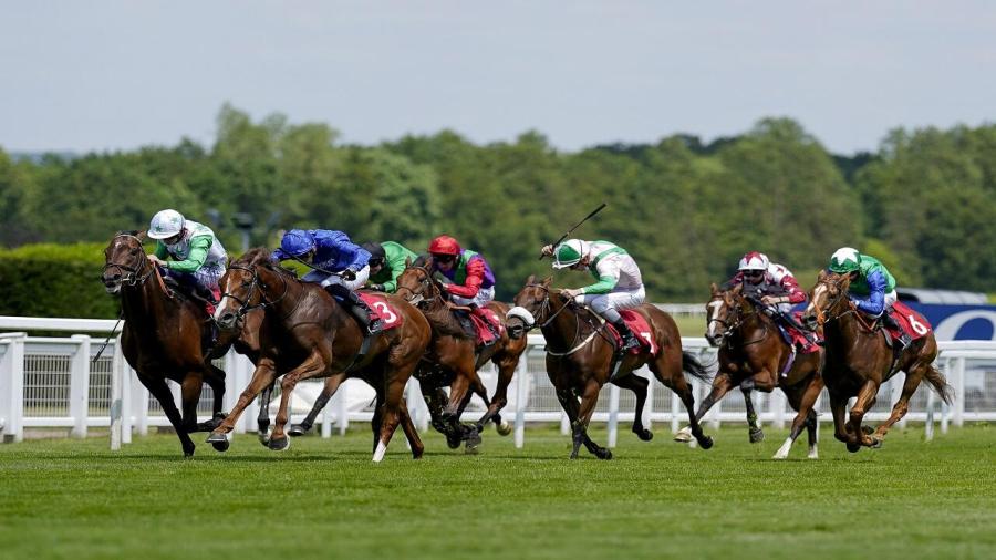 Betfair Sandown Flat.jpg
