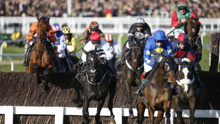 Horse racing at Cheltenham