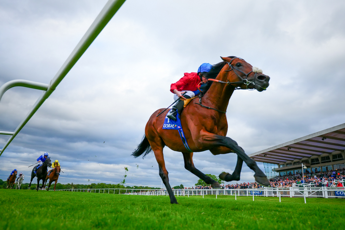 Bay Bridge winning the Brigadier Gerard.