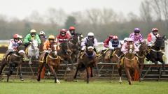 Betfair Hurdle, Newbury