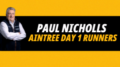 Image for Paul Nicholls Aintree Day 1 runners preview exclusive