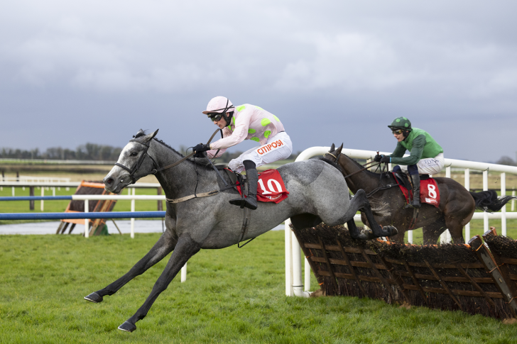 Horse Racing Tips Mark Milligan's best bets for day two of the Dublin Racing Festival