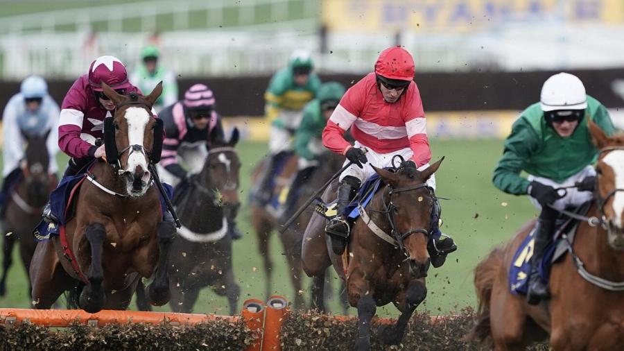 Mares race Cheltenham 1280 .jpg
