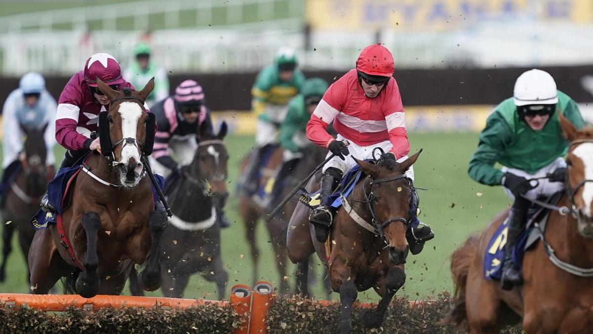 Gold Cup day Cheltenham 