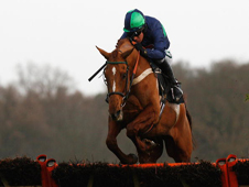 Punchestowns begins his chase career on Friday