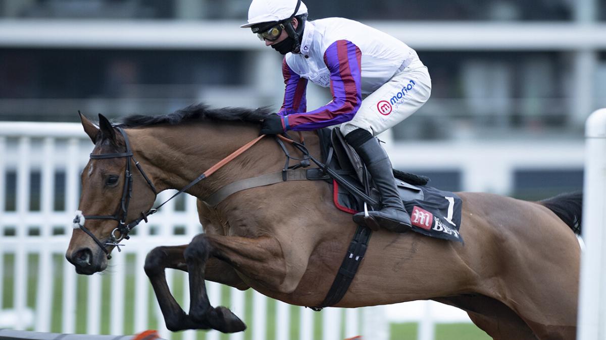 Horse racing at Kempton