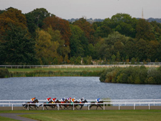 Kempton Park in all its glory