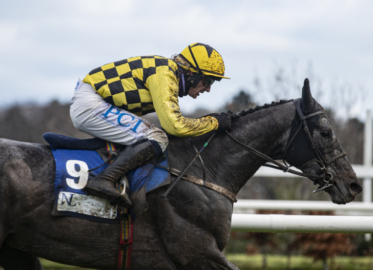 Willie Mullins