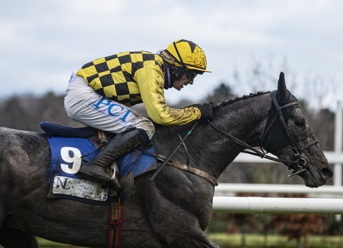 Willie Mullins