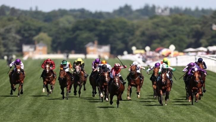 Royal Ascot field 2022.728x410.jpg