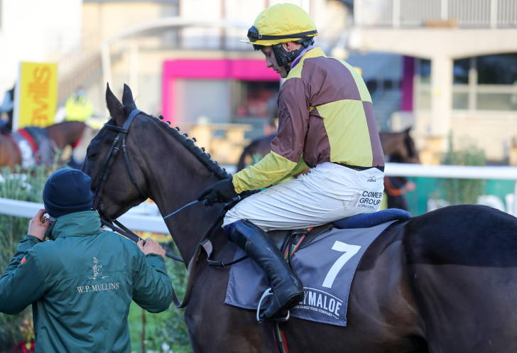 Cheltenham Daily News: Someone's O has got to go! It's Bob v Galopin on day three