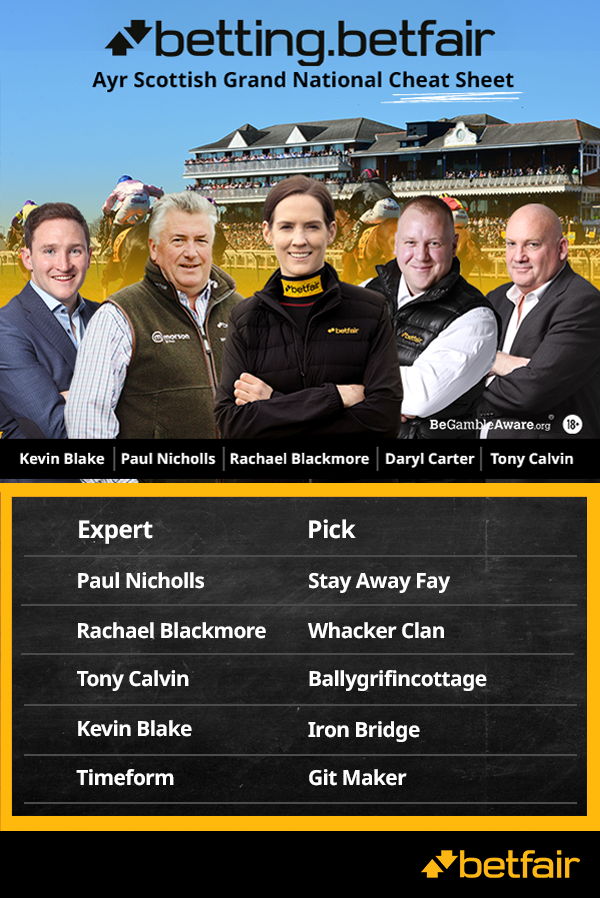 AYR CHEAT SHEET (1).png