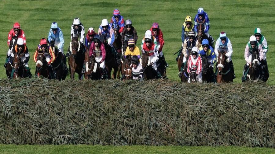 Aintree big field at fence.jpg