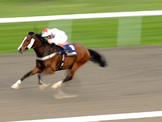 Will Southwell suit Straversjoy? 