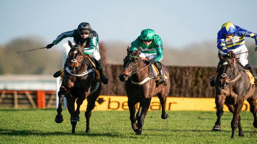 Altior at Newbury 2020.jpg