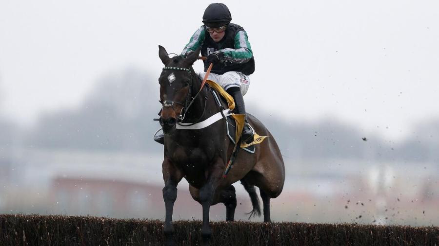Altior fence 1280x720.jpg