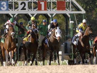 003 Timeform US SmartPlays