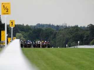 Ascot Races