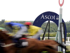 Ascot will be hosting the Shergar Cup on Saturday.