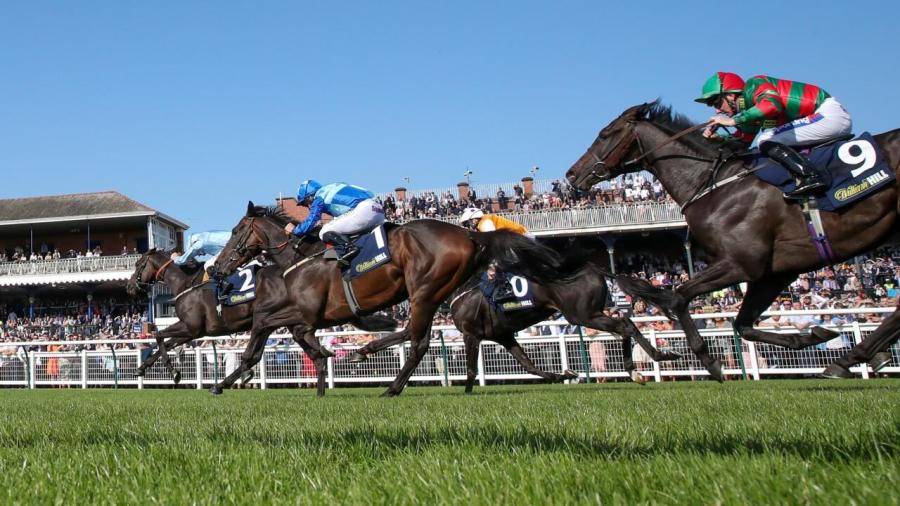 Ayr Gold Cup 1280 .jpg