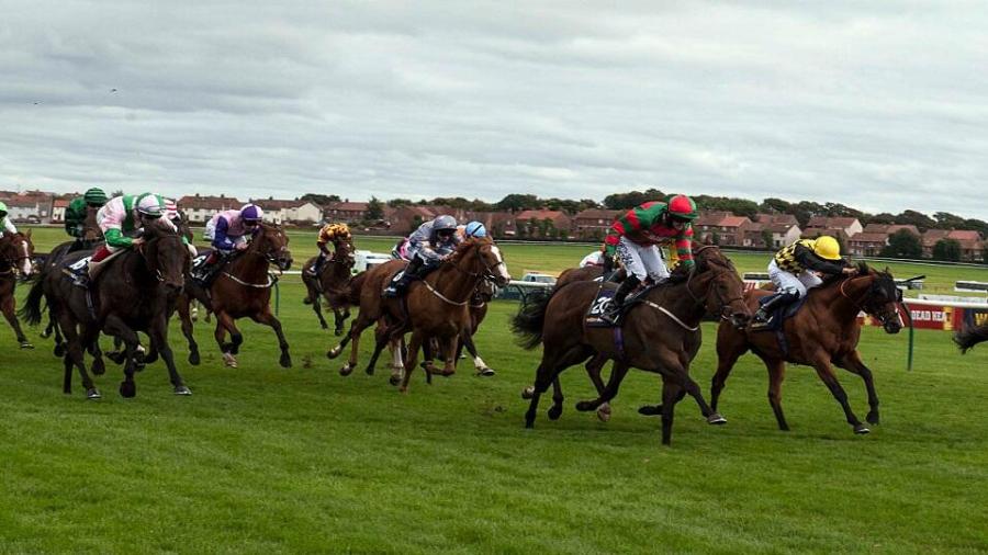 Ayr Gold Cup.jpg