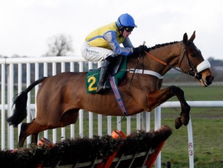 Bangor is the scene of Wednesday's Race of the Day. 