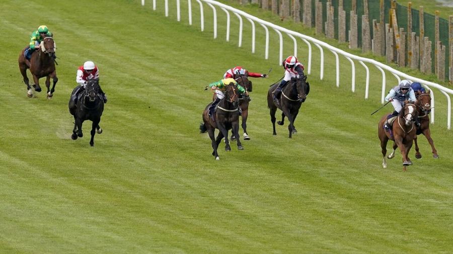 Betfair Brighton.jpg
