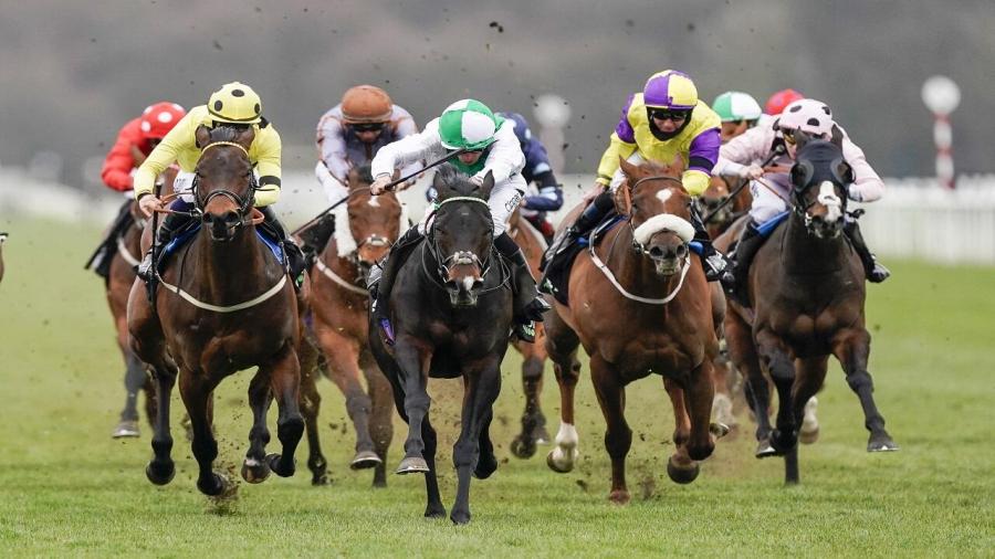 Betfair Doncaster.jpg