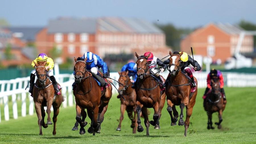 Betfair Newbury Flat.jpg