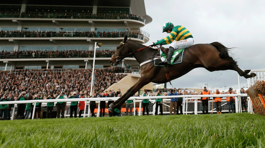 Buveur-DAir-Cheltenham-1280 .gif