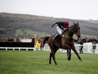Calgary Bay has now won his last two starts
