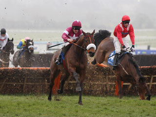 Gordon Elliott: My Cheltenham Festival plans in full ...