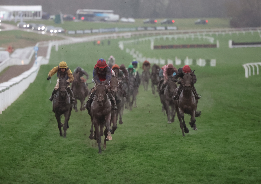 Champion Bumper 1200 x840.png