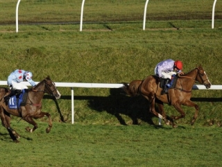 Can Chance du Roy win again?