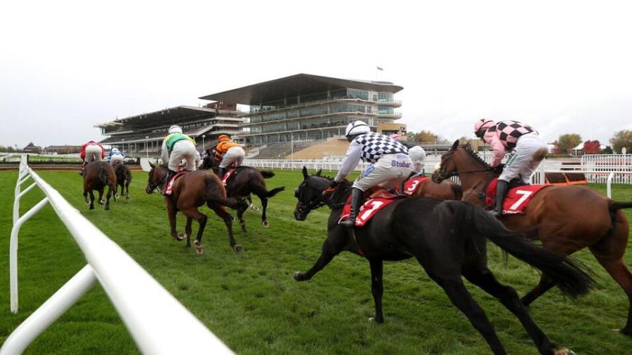 Cheltenham runners rail stand 956.jpg