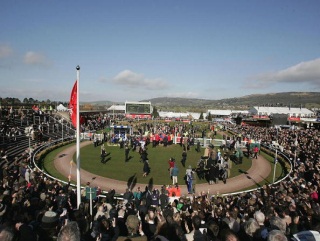 The Winners' Enclosure at Cheltenham