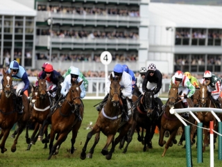 Will the Irish train more than 9 Festival winners this time round?