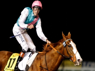 James Doyle impressed on Cityscape